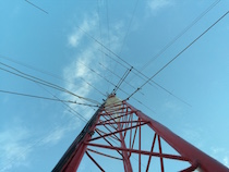 image-03